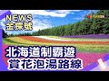 日本名花大賞 |北海道薰衣草 富田農場 美瑛四季彩之丘 小樽 小樽運河Hotel Torifito Otaru Canal 奈良九品寺彼岸花【News金探號】