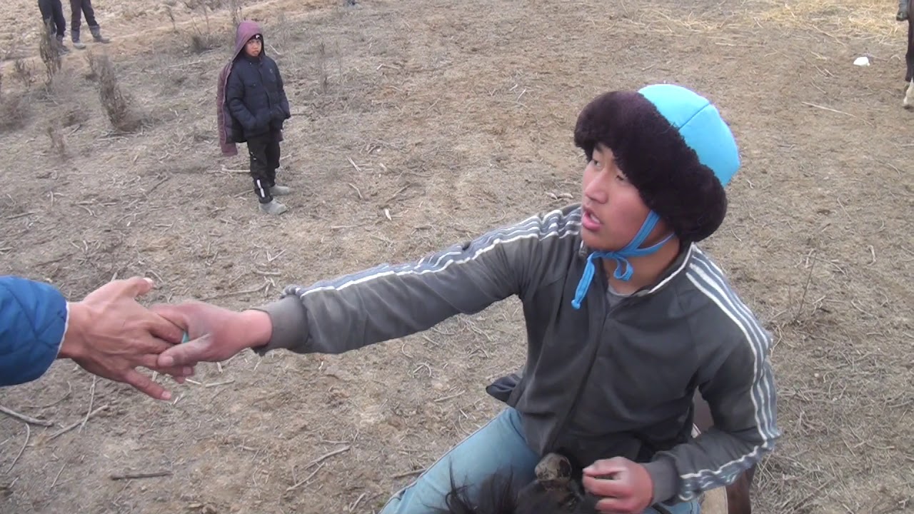 Көкпар Мақтарал аудыны Тегістік ауыл 1-бөлім