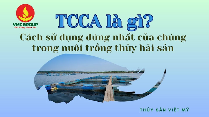 Chất đệm trong nuôi trồng thủy sản là gì năm 2024