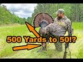 Called from 500 YARDS to 50 YARDS | Does he get away?