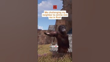 Online Raids in Rust