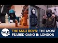 The mali boys how londons most feared gang run drugs guns and violence across the capital