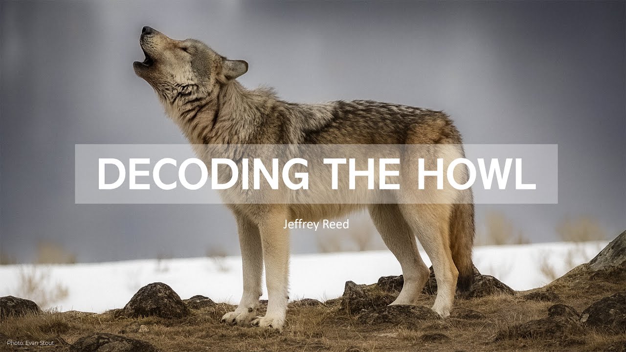 Decoding the Howl
