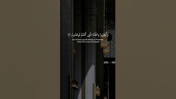 الشيخ :ناصر القطامي حفظه الله سورة:فصلت🤍