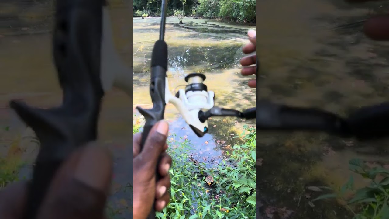 My first bass fishing video my goal is to be known publicly next year‼️