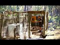 Primitive Chicken Run Build That's Snake and Predator Proof!