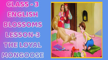 Class 3 English lesson -3 Blossoms  The loyal mongoose