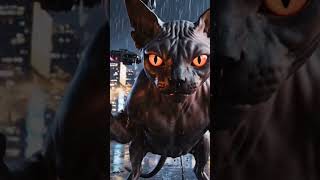 #catwithgun #cat #gun #blackcat #fire #youtubeshorts