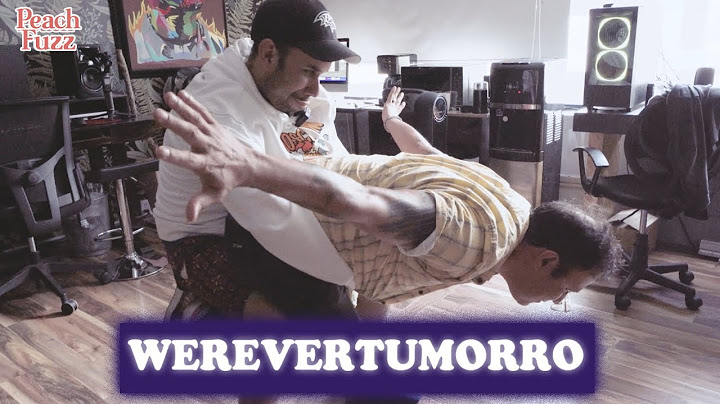 Werevertumorro. Un Día Vendió Bonice | El punto con Luisito Rey ♛
