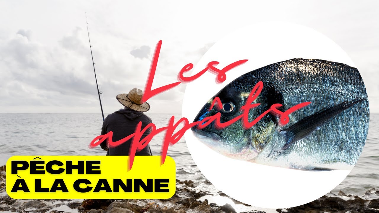 La pêche en bord de mer - Éditions Sud OuestÉditions Sud Ouest