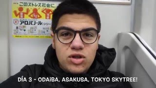 Día 3 - Odaiba, Asakusa y Tokyo SkyTree | Perdidos en Japón