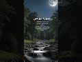 |Surah Yunus, V89| #quran #surahyunus #yt #sub #viral #kanwalsislamicdiary #india  #urdutranslation