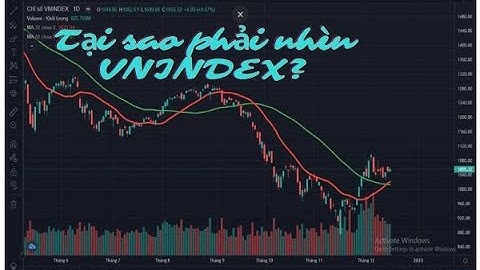 VNINDEX có ảnh hưởng thế nào tới cổ phiếu? Khi nào nên mua cổ phiếu? | Cải Nguyễn Channel