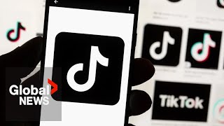 Russian State-Backed Tiktok Posts Surge As Us Election Nears: Report