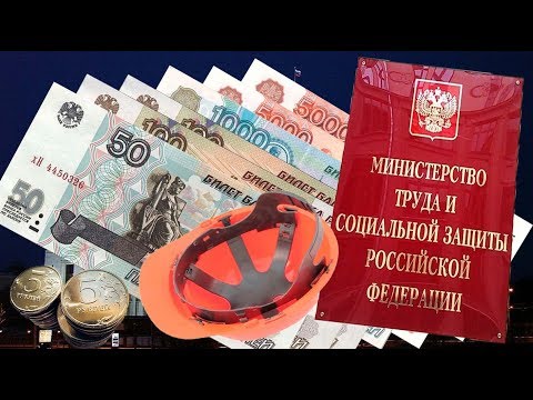 Как Прожить на МРОТ в России Минимальный Размер Оплаты Труда
