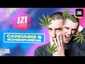 Le cannabis une drogue pas si douce que a  izi news