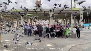 Uçun Kuşlar Medineye Selam götürün nebiye
