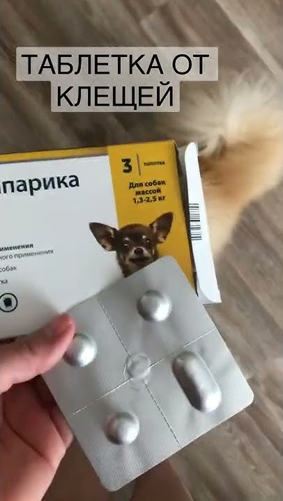 ТАБЛЕТКА ОТ КЛЕЩЕЙ - YouTube