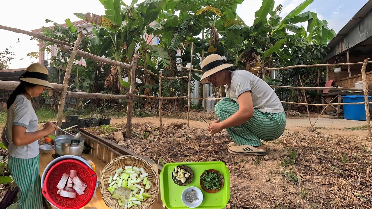 Sour Bottle Gourd Soup with Red Fish | Rural Life Cooking | Natural Sounds Only