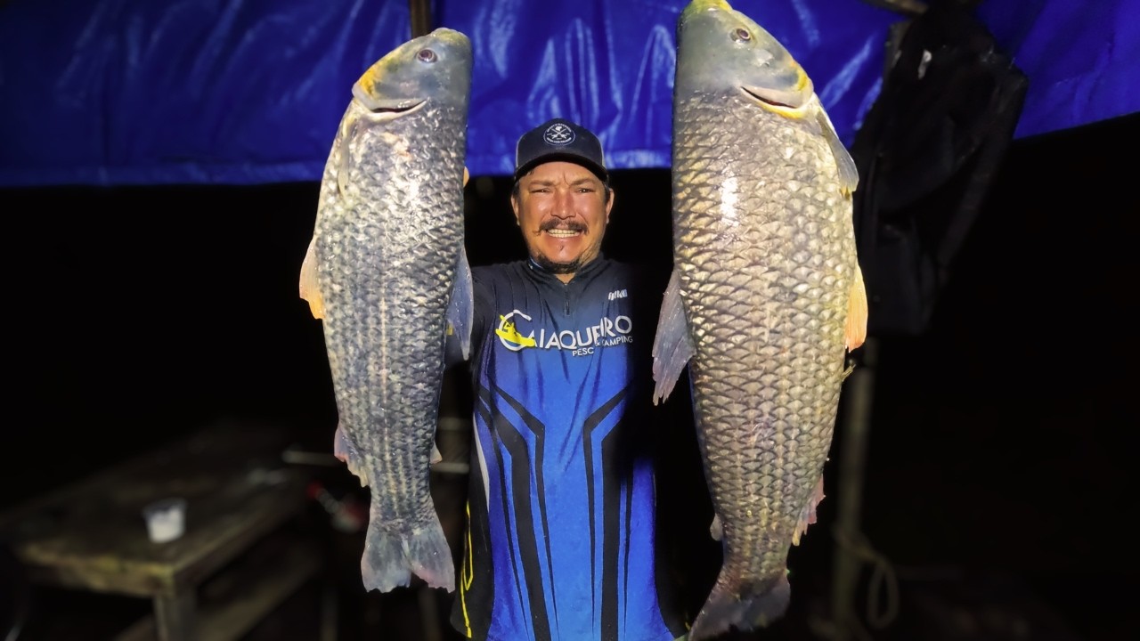 Senhor eles são Gigantes Não tem linha que aguente, Pescaria de piau rio paranaiba!