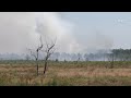 Incendios en Francia. Avanza el fuego en Cap Ferret