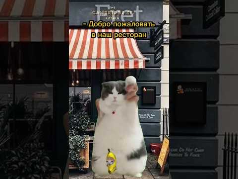 Когда твоя Мама жадная😂 #cat #мем #фрет