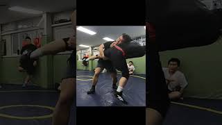 생활체육 레슬링 스파링 하이라이트 260423 #레슬링 #mma #boxing #ufc #wrestling #music #머스탱주짓수 #bjj #judo