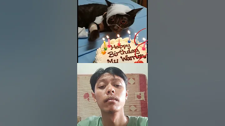 #animalintelligence #cat #cake #o #cute #aiandcats #happybirthday #aicats #funny #kitten #o #shorts