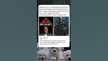 What Happens When OpenAI