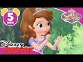 Magical Moments | Sofia the First: Amber's Fancy Dress 🎀 | Disney Junior UK