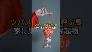ツバメの巣が減っている=春の風物詩が絶滅危惧に!? #ためになる動画 #雑学 #特有種 #動物雑学 #恐怖 #プチ知識