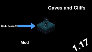 Playing with the 1.17 Sculk Sensors!!