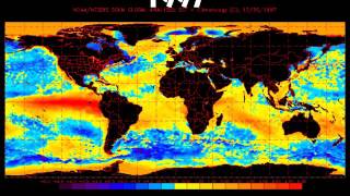 1996-1999 Sea Surface Temperature