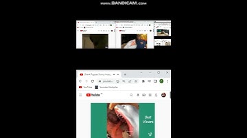 up to faster 24 to shark puppet