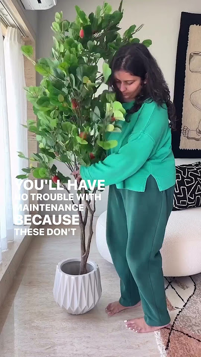Artificial Plants That Are Versatile & Breezy! | Mason Home