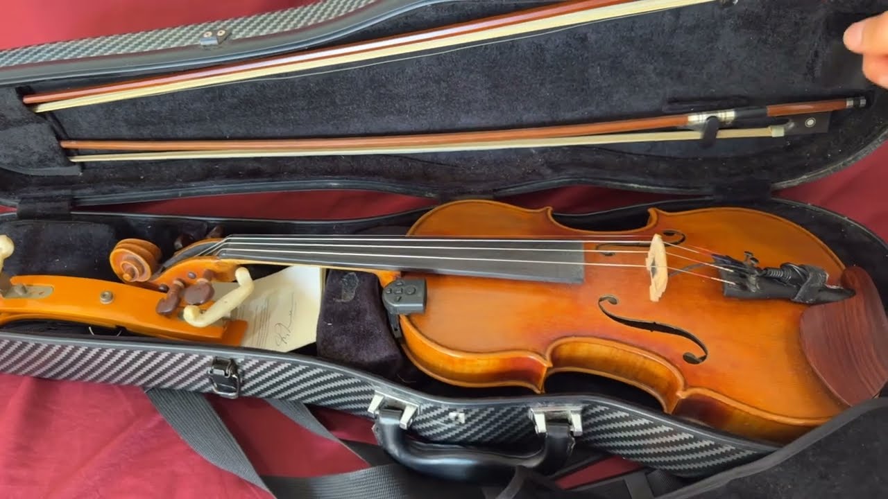 Amazon "carbon fiber" 4/4 violin case review after 4 years of use [PRICE IN DESCRIPTION]
