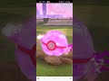 거다이 맥스 인텔리레온 리서치 #pokemongo