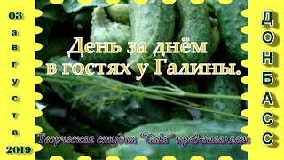 "День за днём в гостях у Галины". 03.08.2019. "День за днём в гостях у Галины". 03.08.2019.