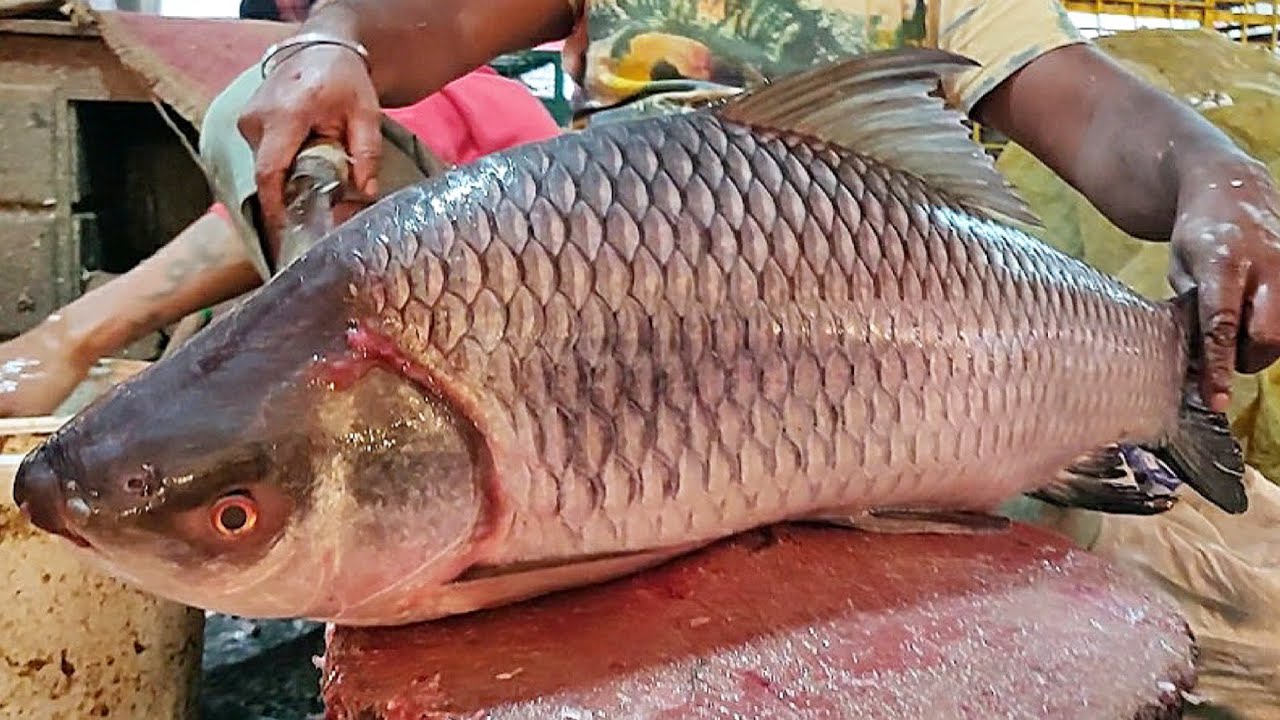 Super Fast Big Rohu Fish Cutting & Chopping By Expert Fish Cutter | Fish Cutting Bangladesh