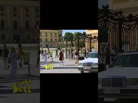 Tourist Info!