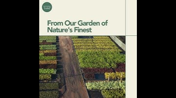 Transform Your Outdoor Space with Simply Trees, Americas Premier Online Nursery!