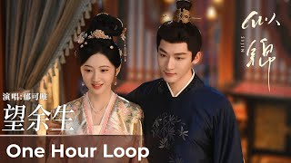 one Hour Loopsi Jinhoping For The Remaining Life By Yisa Yu 