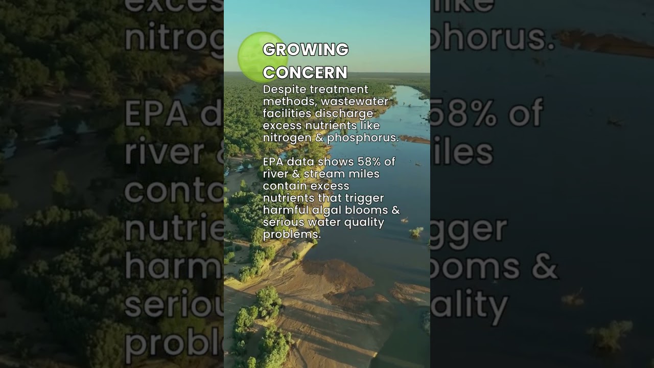 The Nutrient Pollution Problem 