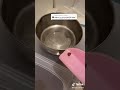 قطة و كلب 3