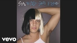 Sia - Bird Set Free (Audio)  - Durasi: 4:16. 