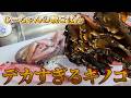 【じいちゃんの晩御飯】デカすぎるお化けキノコに初挑戦！
