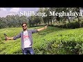 Shillong Tourist Places | Shillong Tour Plan | Shillong Tour Budget | Shillong Tour Guide Meghalaya