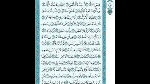 080 سورة عبس ترتيل الشيخ ابراهيم رزق غنيم