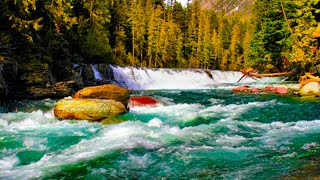 4k Fast Turquoise Mountain River Sounds for Sleep. Calming Carpathian Forest Turquoise River Sounds