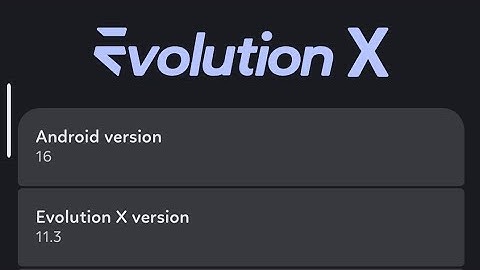 Review Evolution X V 11.3 Android 16 Poco X3 NFC with leica cam 5 Beta 8.3 (Module)